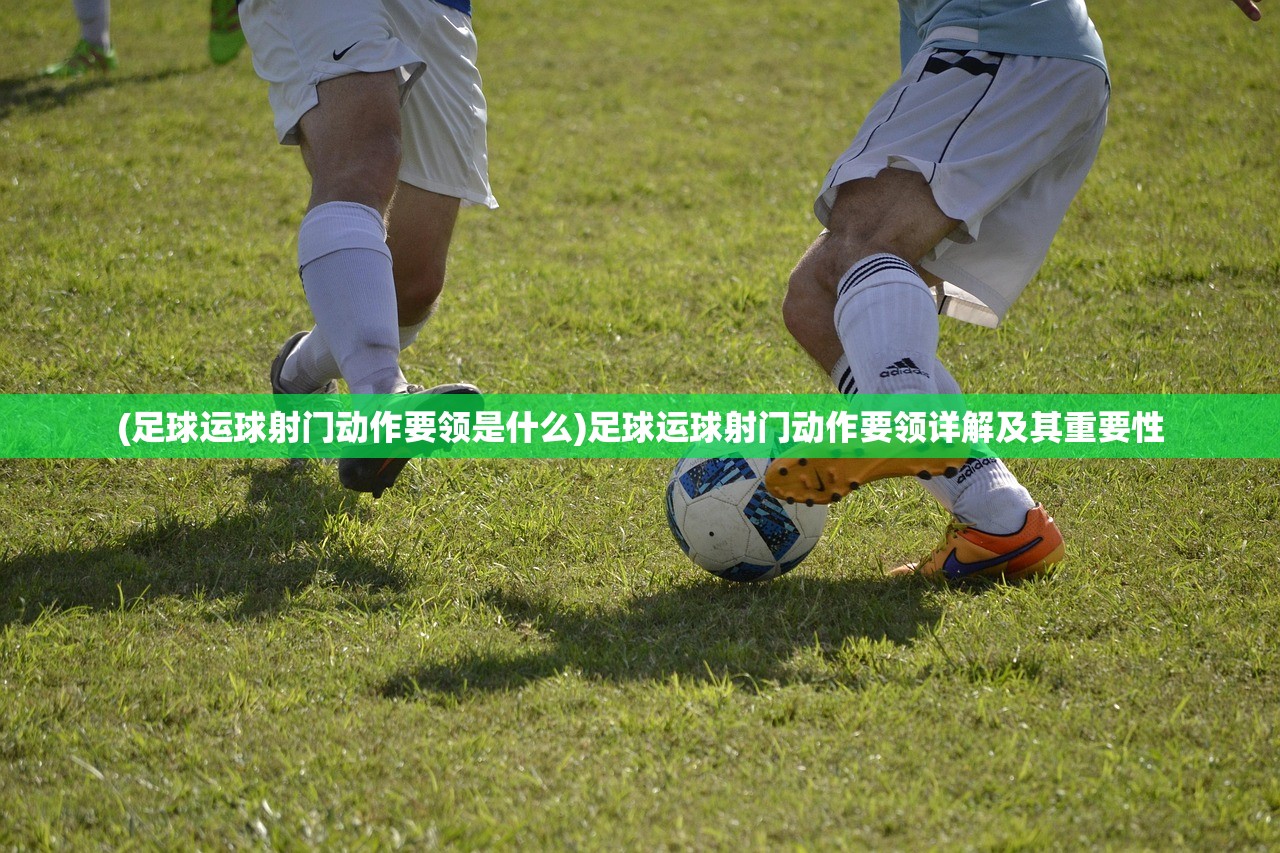 (暗夜行动主演)暗夜行动，揭秘内鬼身份之谜