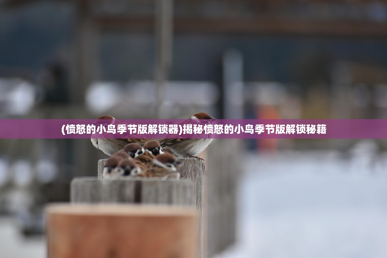 (异次元主公最强阵容搭配)异次元主公最强阵容攻略及解析