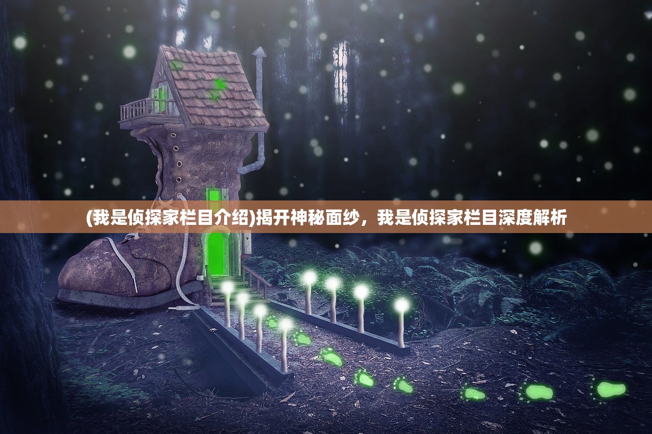 (我是侦探家栏目介绍)揭开神秘面纱，我是侦探家栏目深度解析