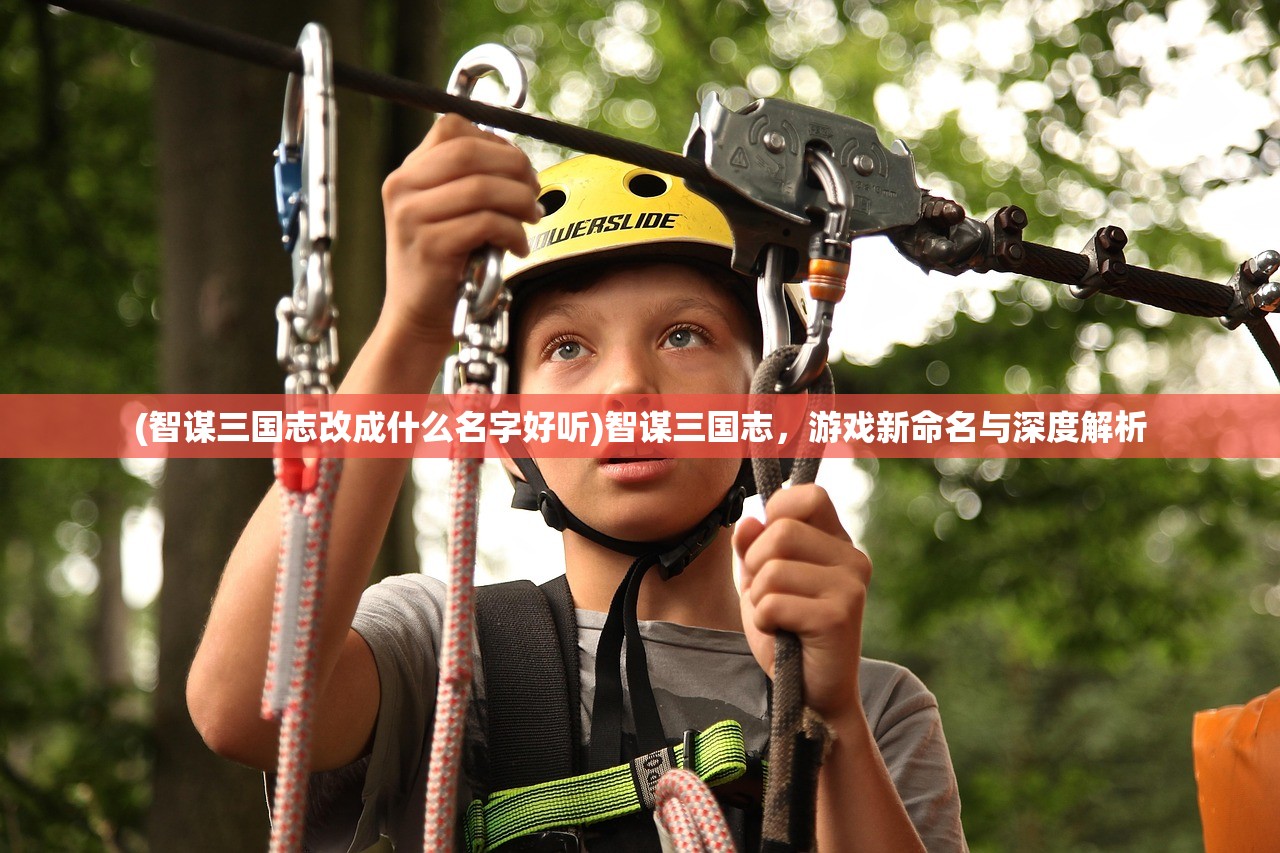 (智谋三国志改成什么名字好听)智谋三国志，游戏新命名与深度解析