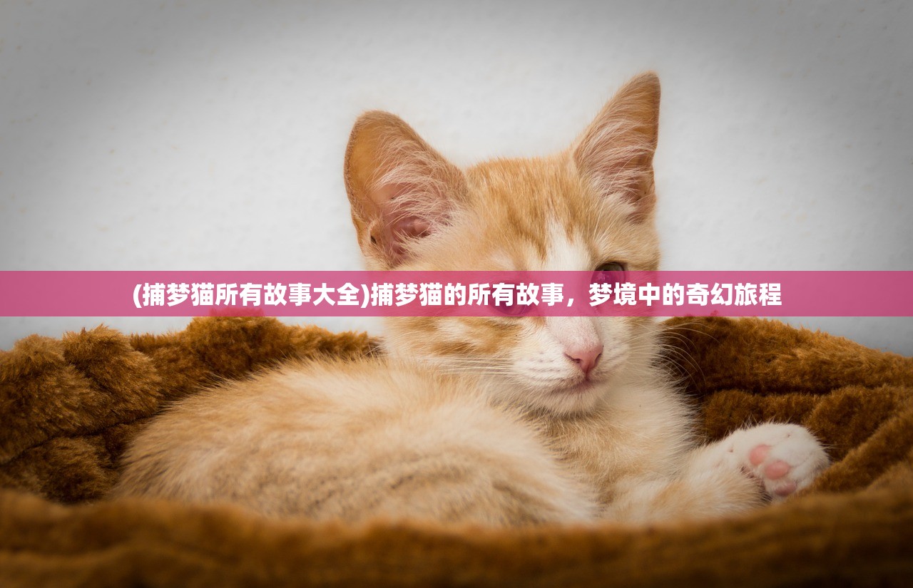 (帝国雄狮)帝国雄师攻略大全，从入门到精通