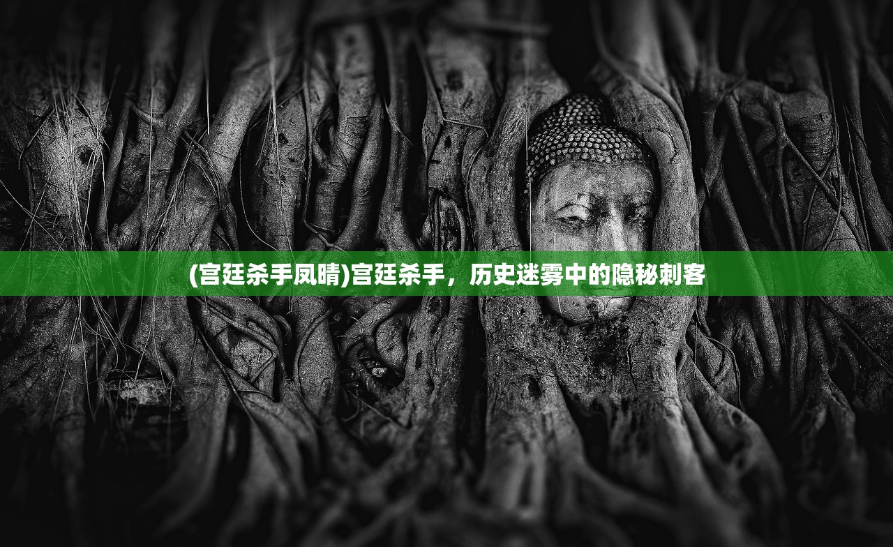 (宫廷杀手凤晴)宫廷杀手,历史迷雾中的隐秘刺客 (宫廷杀手凤晴)宫廷杀手,历史迷雾中的隐秘刺客