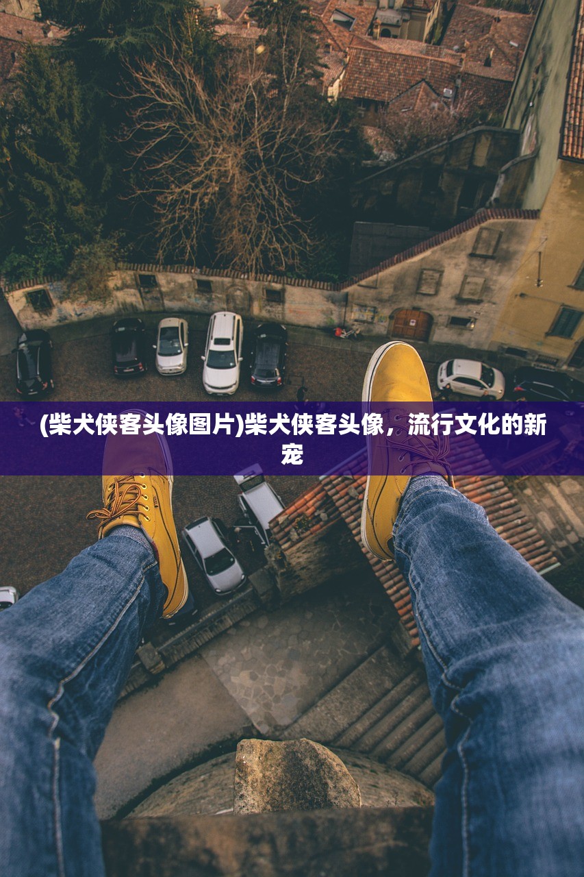 (柴犬侠客头像图片)柴犬侠客头像，流行文化的新宠