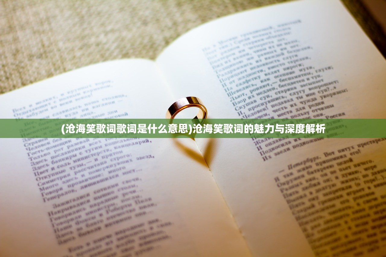 (沧海笑歌词歌词是什么意思)沧海笑歌词的魅力与深度解析 (沧海笑歌词歌词是什么意思)沧海笑歌词的魅力与深度解析
