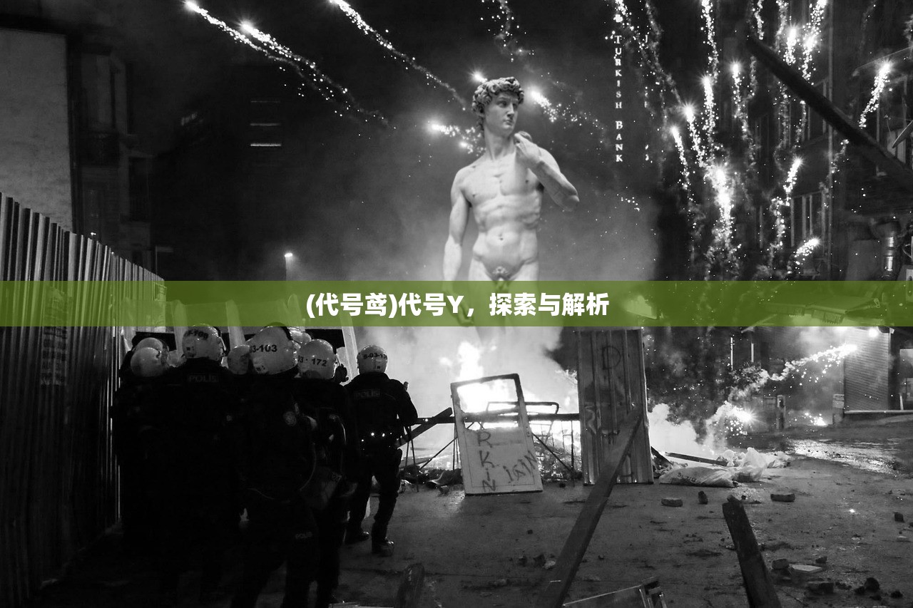(代号鸢)代号Y，探索与解析