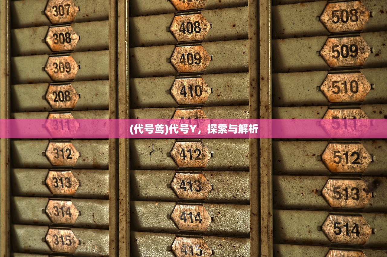 (代号鸢)代号Y，探索与解析