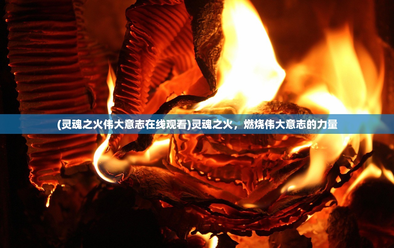 (武林传说2:江湖侠客)武林传说2，江湖风云再起之探秘