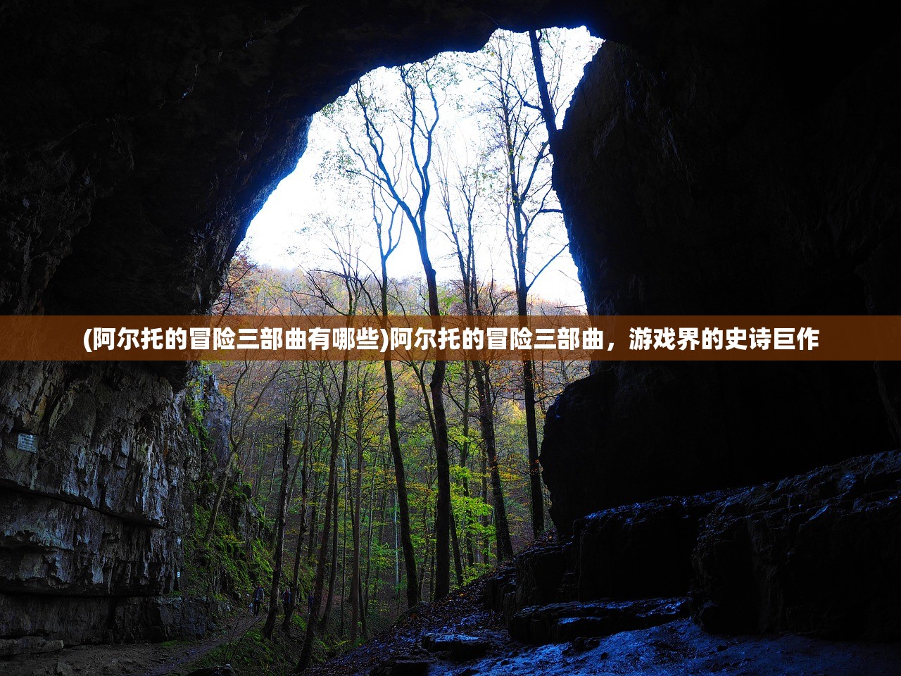 (金牌合伙人是什么意思)金牌合伙人官方网站入口，探索合作与共赢的门户