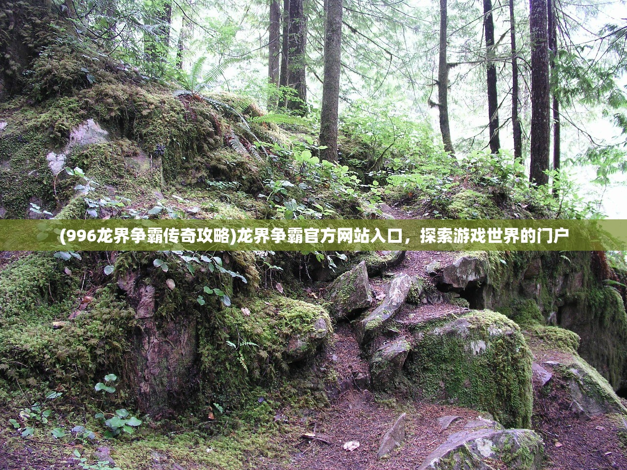 (渣渣辉与丹宝的联动场景)渣渣辉与丹宝，游戏内外的星光闪耀