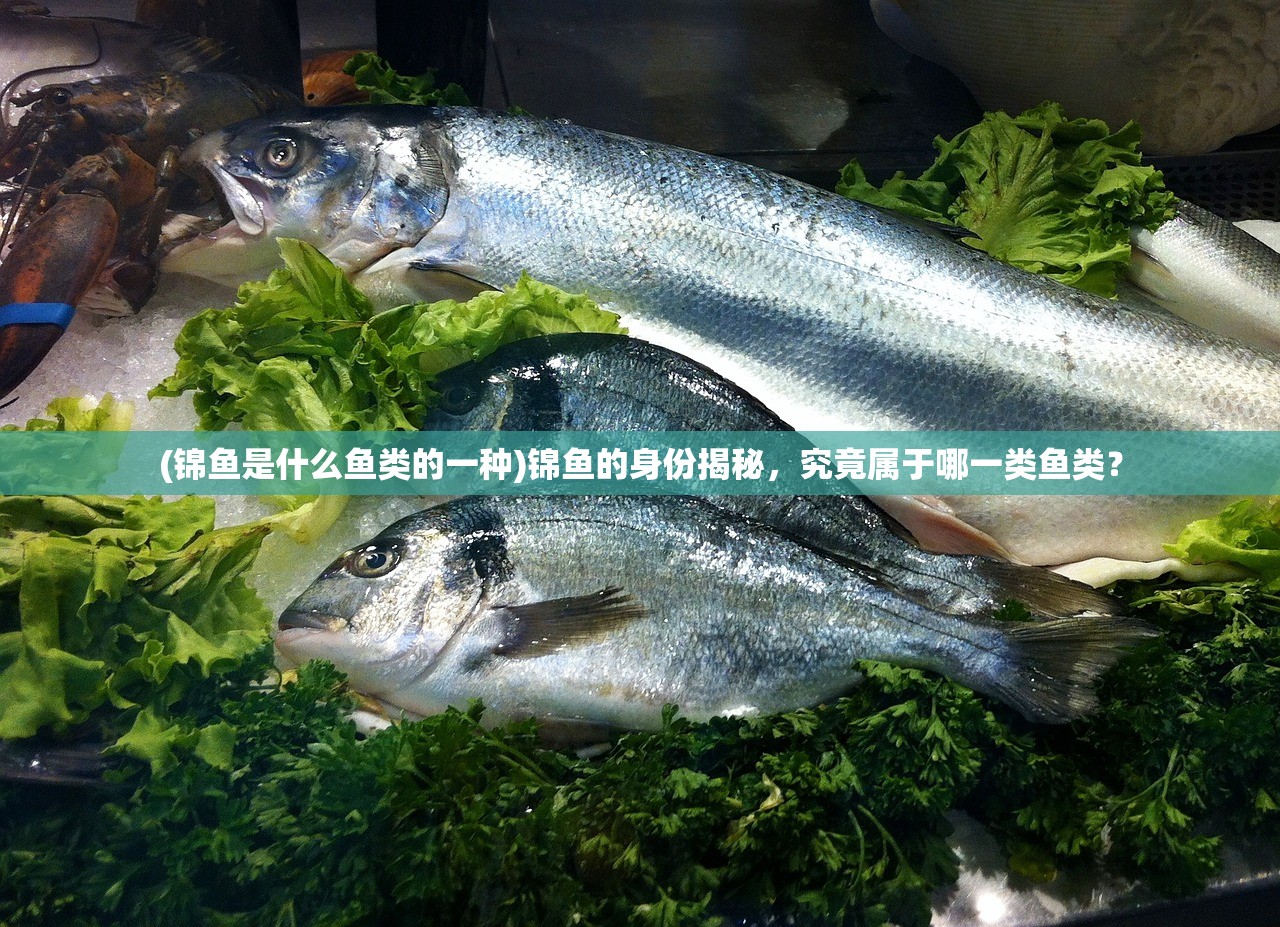 (霸道城主爱上仇人女儿什么剧)霸道城主与宿敌之女的禁忌之恋