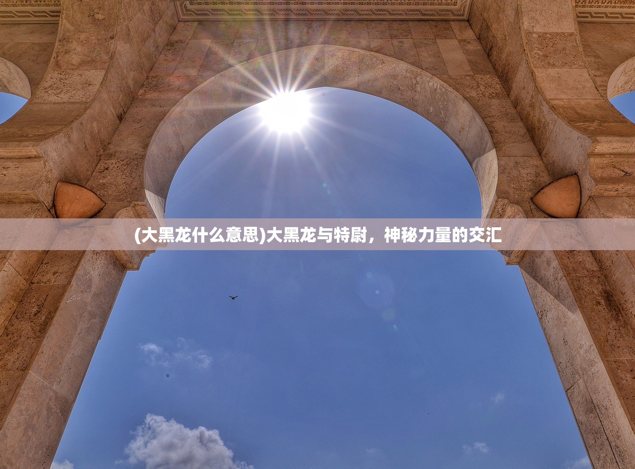(新世纪教育集团董事长)新世纪教育的探索与挑战，多元化发展的视角