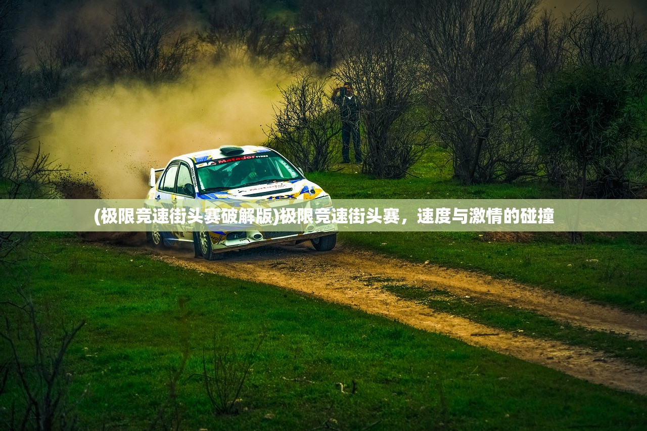 (极限竞速街头赛破解版)极限竞速街头赛，速度与激情的碰撞