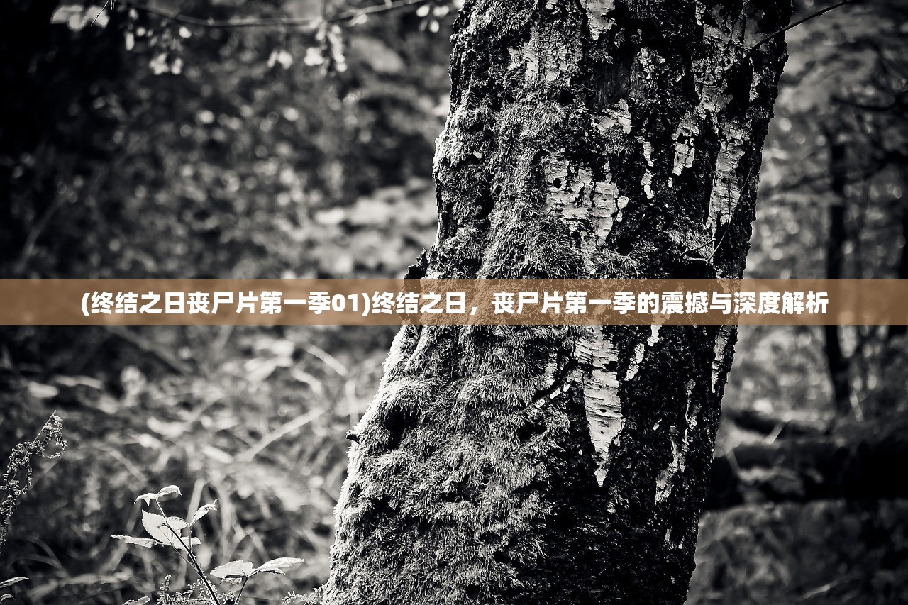 (筮灵正式版售价)筮灵正式版，深度解读与探索