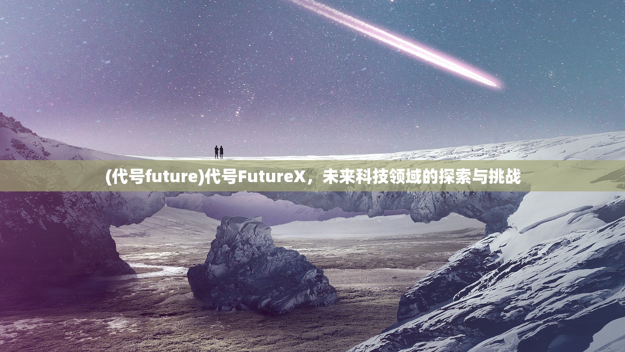 (代号future)代号FutureX，未来科技领域的探索与挑战