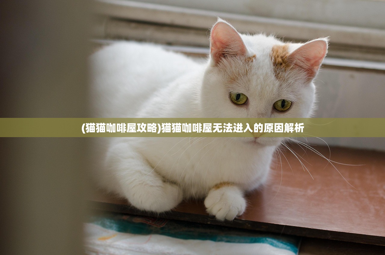 (猫猫咖啡屋攻略)猫猫咖啡屋无法进入的原因解析