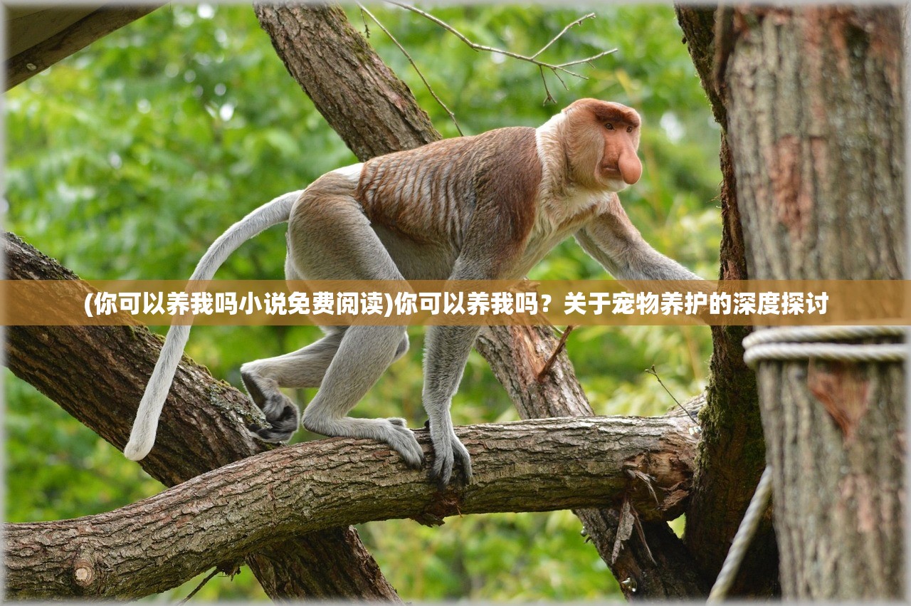 (你可以养我吗小说免费阅读)你可以养我吗？关于宠物养护的深度探讨