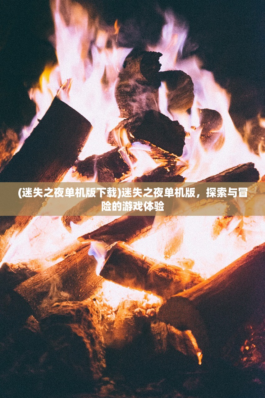 (迷失之夜单机版下载)迷失之夜单机版，探索与冒险的游戏体验