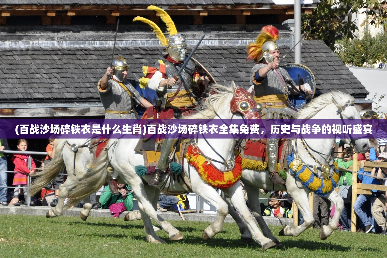 (百战沙场碎铁衣是什么生肖)百战沙场碎铁衣全集免费,历史与战争的视听盛宴 (百战沙场碎铁衣是什么生肖)百战沙场碎铁衣全集免费,历史与战争的视听盛宴