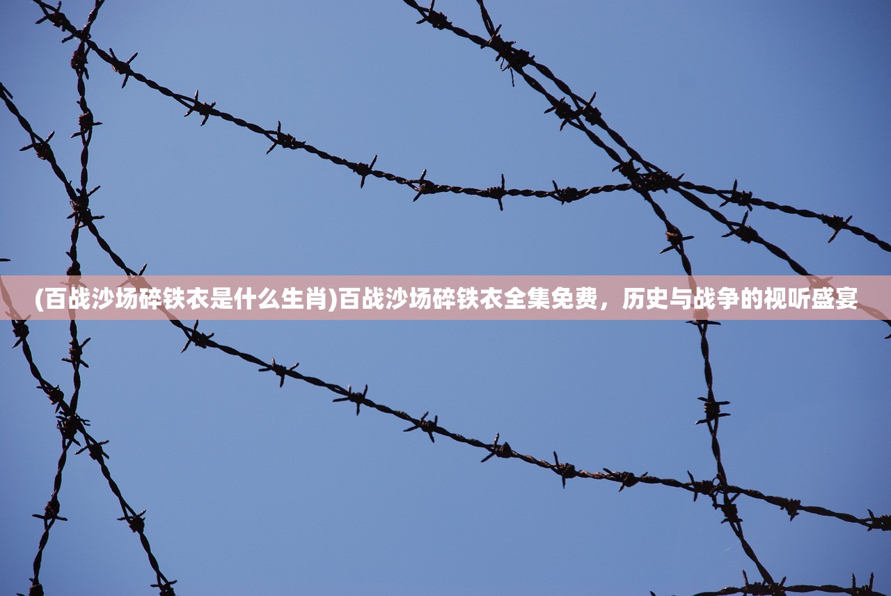 (百战沙场碎铁衣是什么生肖)百战沙场碎铁衣全集免费,历史与战争的视听盛宴 (百战沙场碎铁衣是什么生肖)百战沙场碎铁衣全集免费,历史与战争的视听盛宴