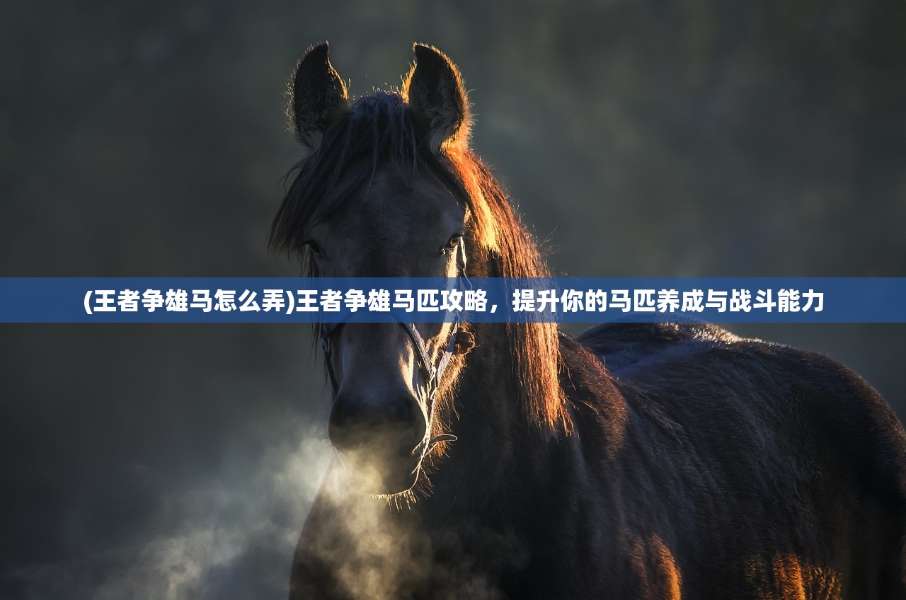 (王者争雄马怎么弄)王者争雄马匹攻略，提升你的马匹养成与战斗能力
