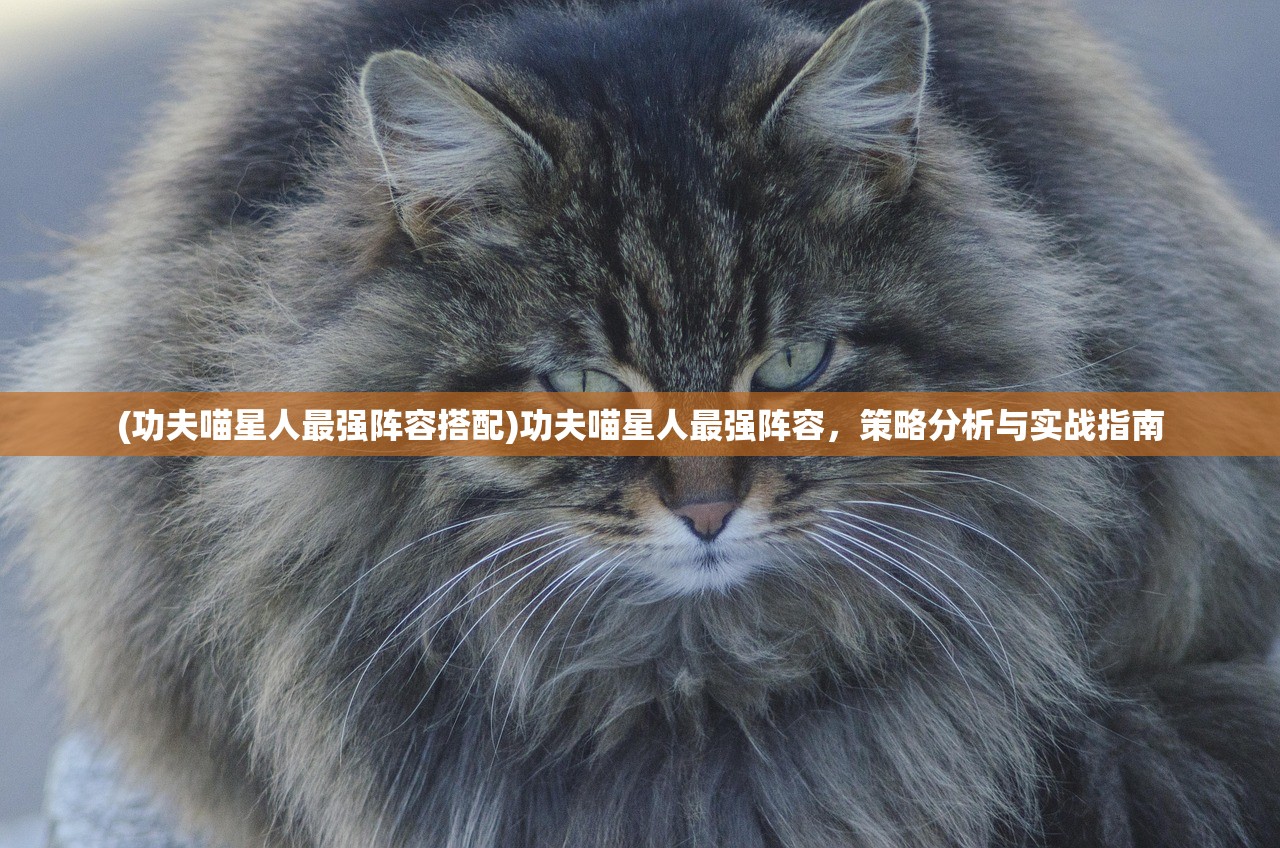 (功夫喵星人最强阵容搭配)功夫喵星人最强阵容，策略分析与实战指南