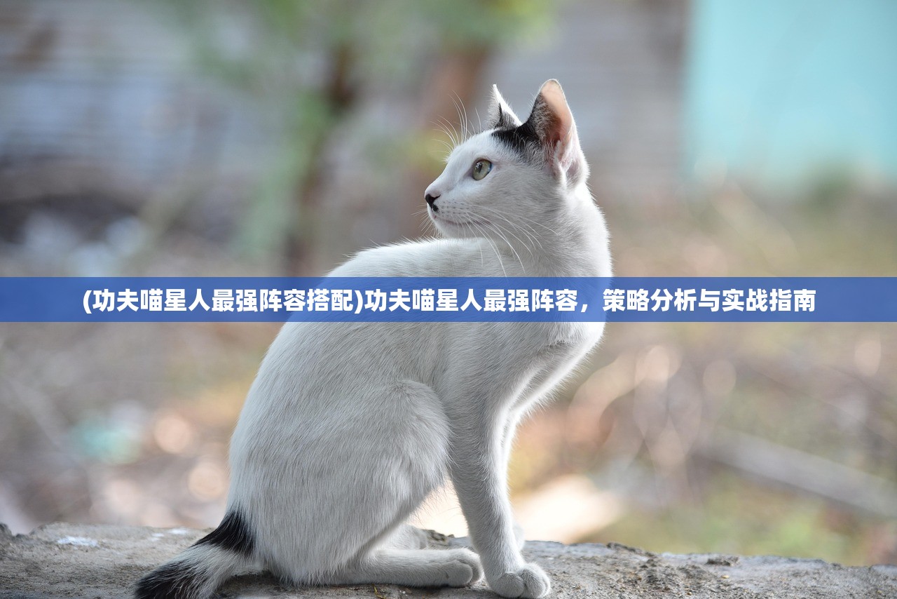 (功夫喵星人最强阵容搭配)功夫喵星人最强阵容，策略分析与实战指南