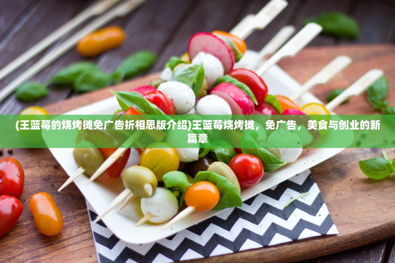 (王蓝莓的烧烤摊免广告折相思版介绍)王蓝莓烧烤摊，免广告，美食与创业的新篇章
