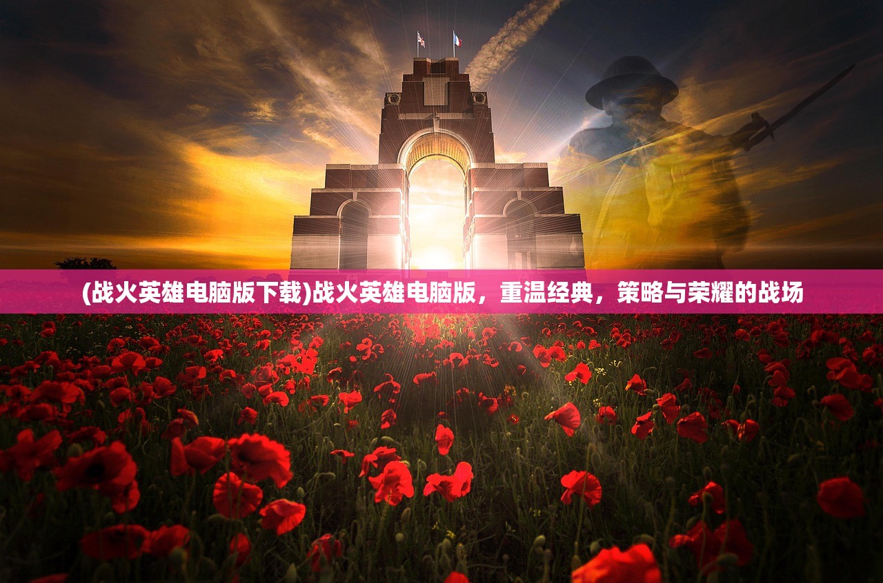 (代号hd电视剧演员)代号HD电视剧，深度解析与常见问题解答