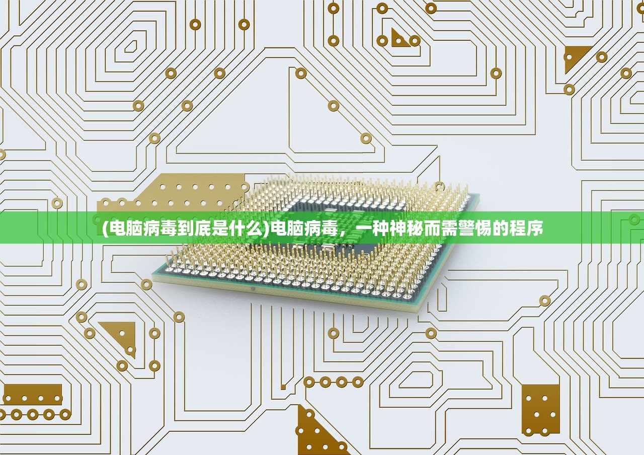 (电脑病毒到底是什么)电脑病毒，一种神秘而需警惕的程序