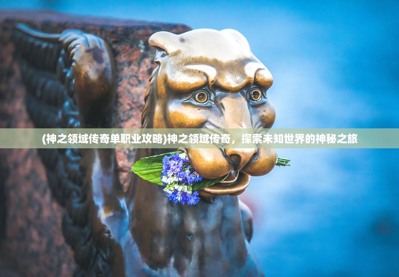 (神之领域传奇单职业攻略)神之领域传奇，探索未知世界的神秘之旅