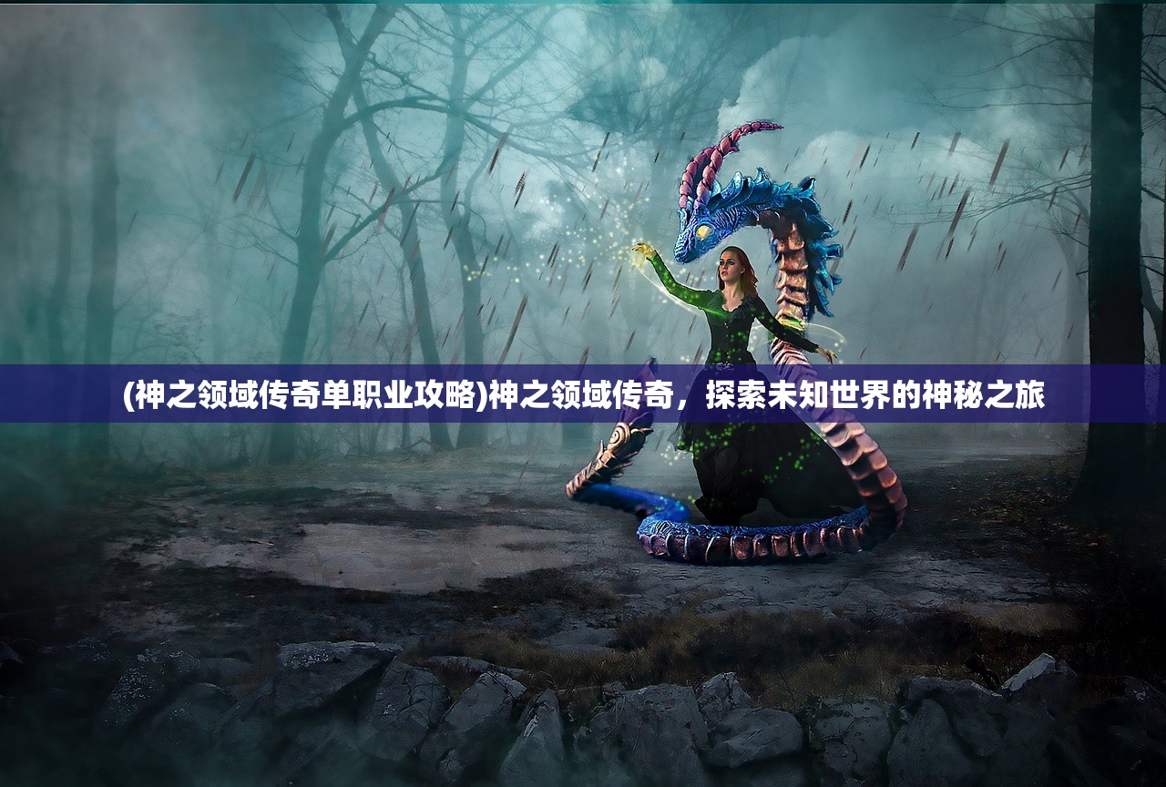 (神之领域传奇单职业攻略)神之领域传奇，探索未知世界的神秘之旅