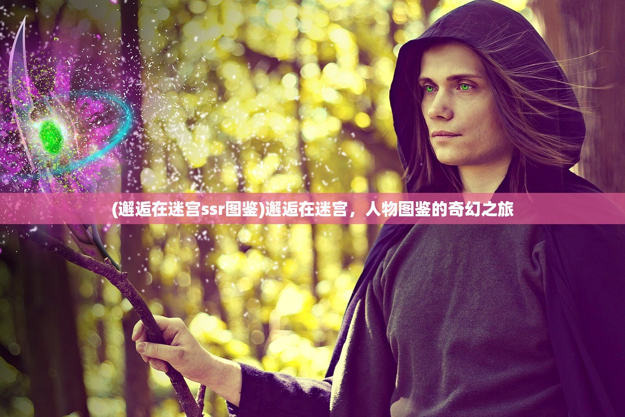 (邂逅在迷宫ssr图鉴)邂逅在迷宫，人物图鉴的奇幻之旅