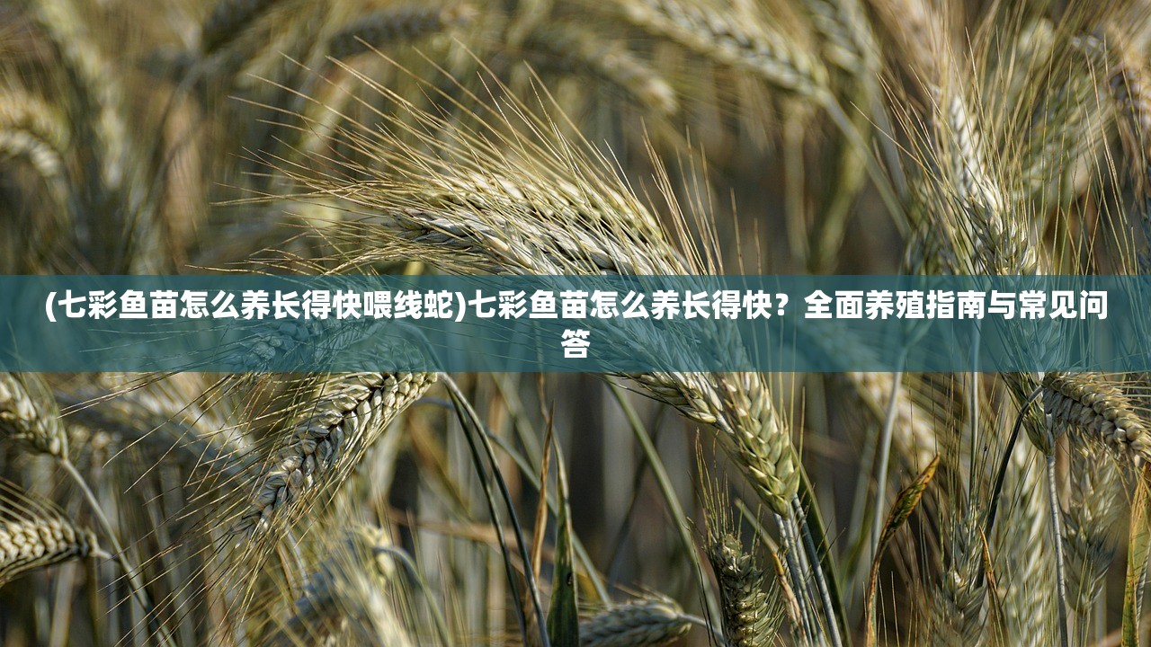 (七彩鱼苗怎么养长得快喂线蛇)七彩鱼苗怎么养长得快？全面养殖指南与常见问答