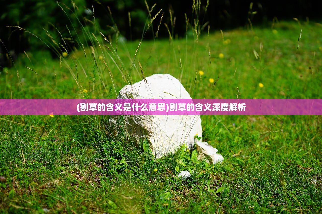 (割草的含义是什么意思)割草的含义深度解析