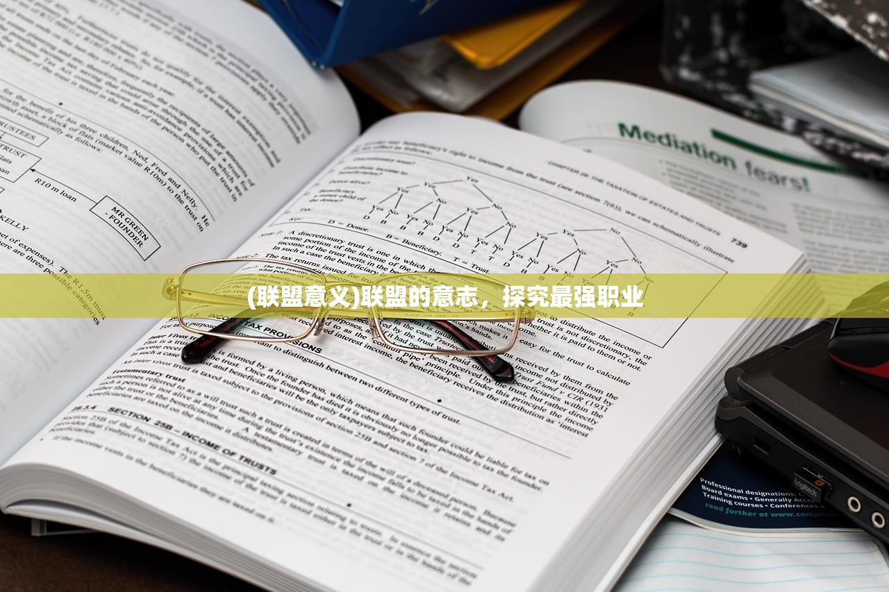 (联盟意义)联盟的意志，探究最强职业