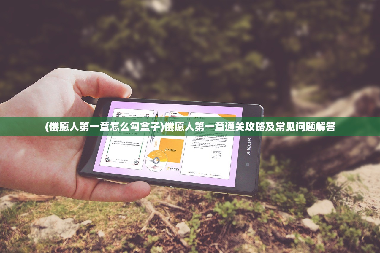 (偿愿人第一章怎么勾盒子)偿愿人第一章通关攻略及常见问题解答