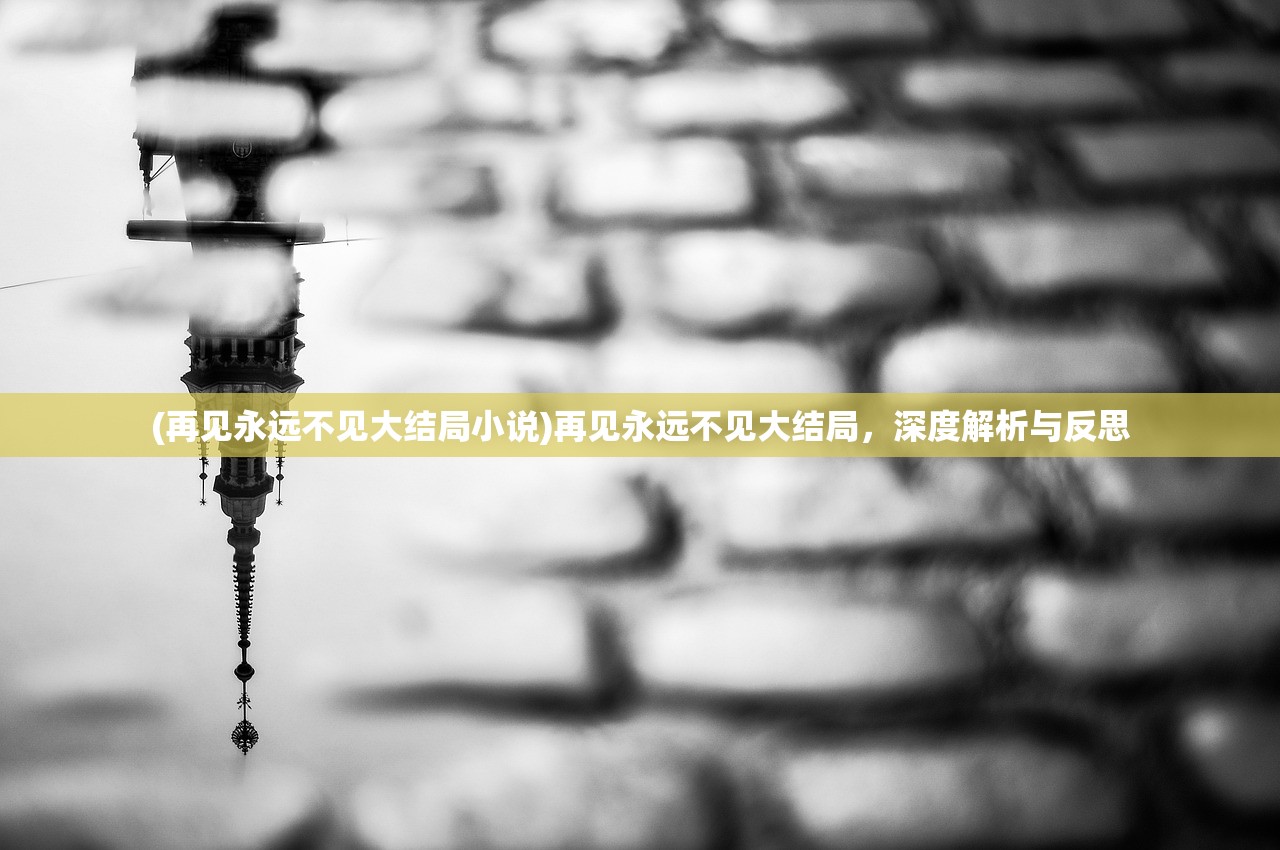(再见永远不见大结局小说)再见永远不见大结局，深度解析与反思