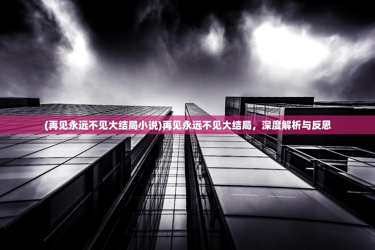 (再见永远不见大结局小说)再见永远不见大结局，深度解析与反思