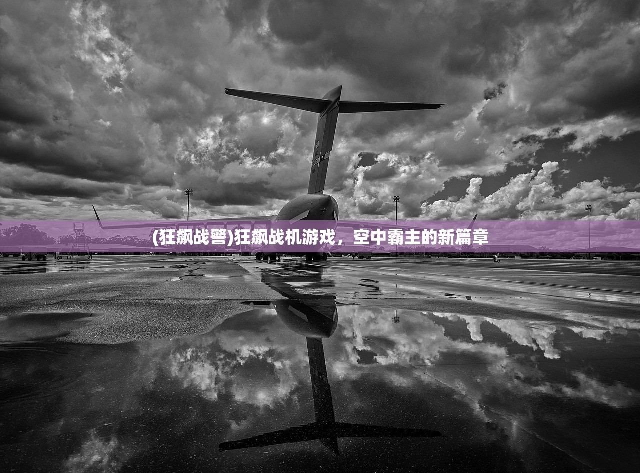 (狂飙战警)狂飙战机游戏，空中霸主的新篇章