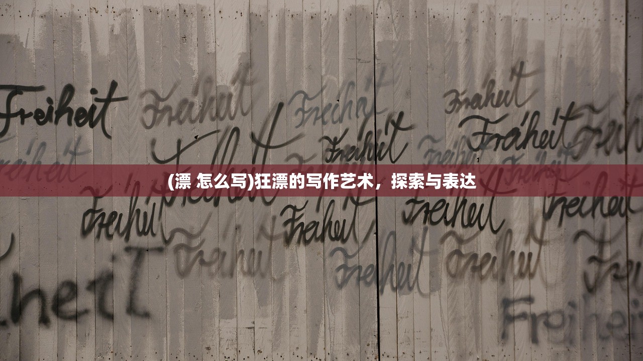 (漂 怎么写)狂漂的写作艺术，探索与表达