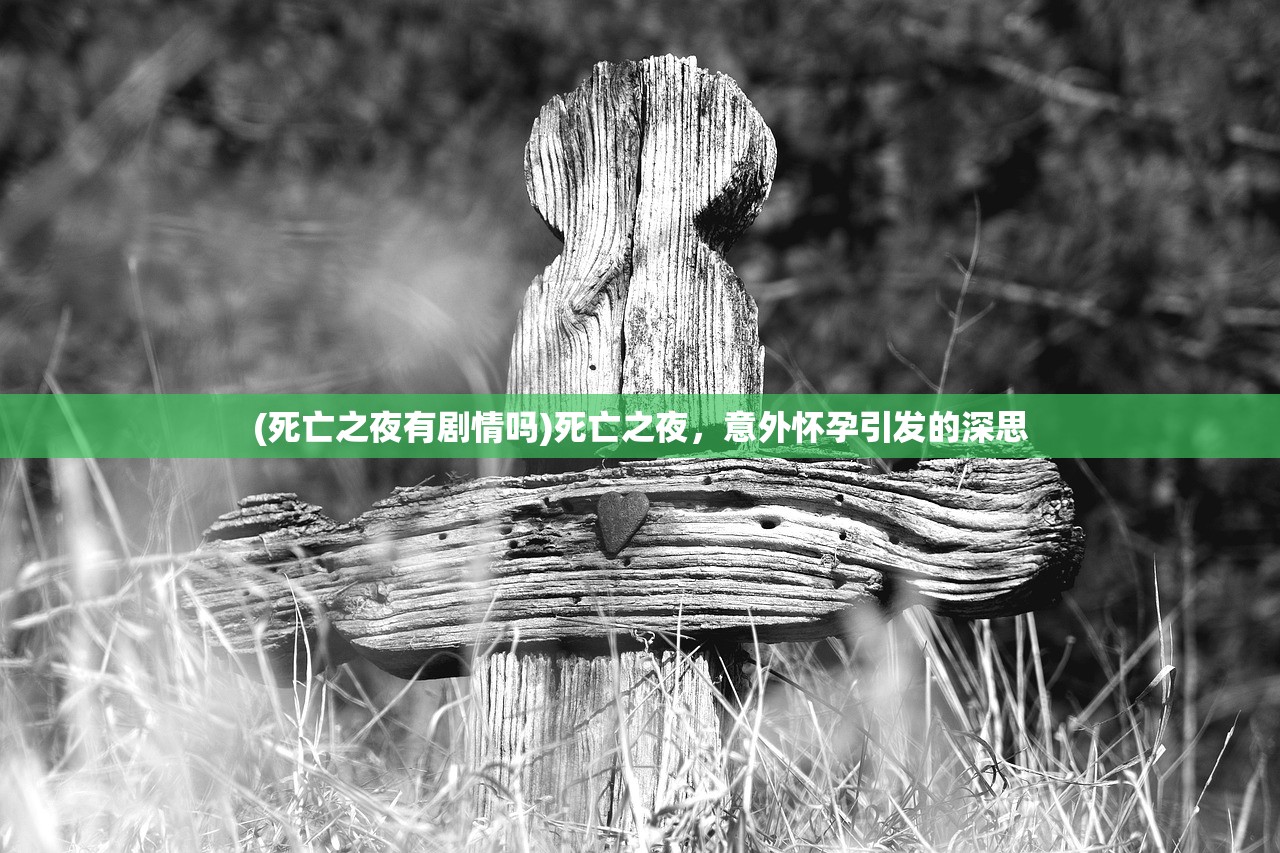 (死亡之夜有剧情吗)死亡之夜，意外怀孕引发的深思