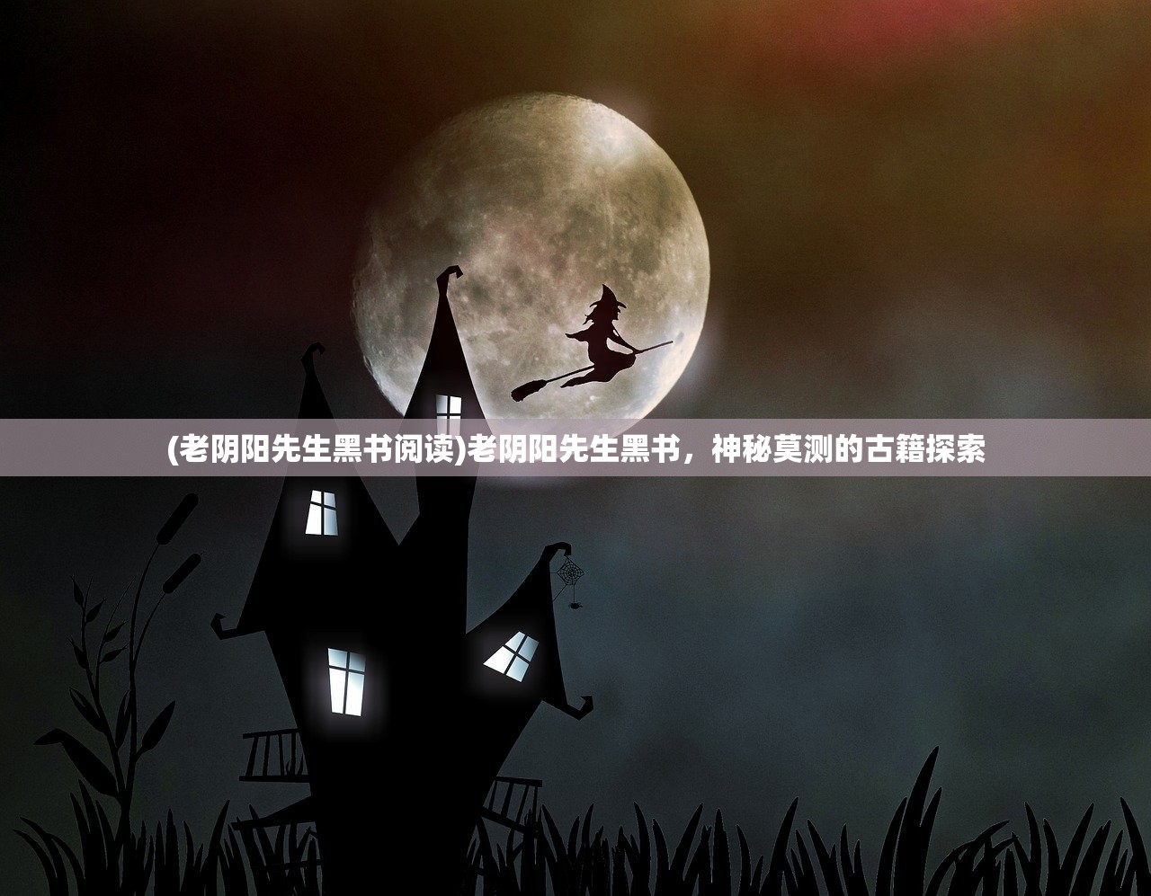 (老阴阳先生黑书阅读)老阴阳先生黑书，神秘莫测的古籍探索