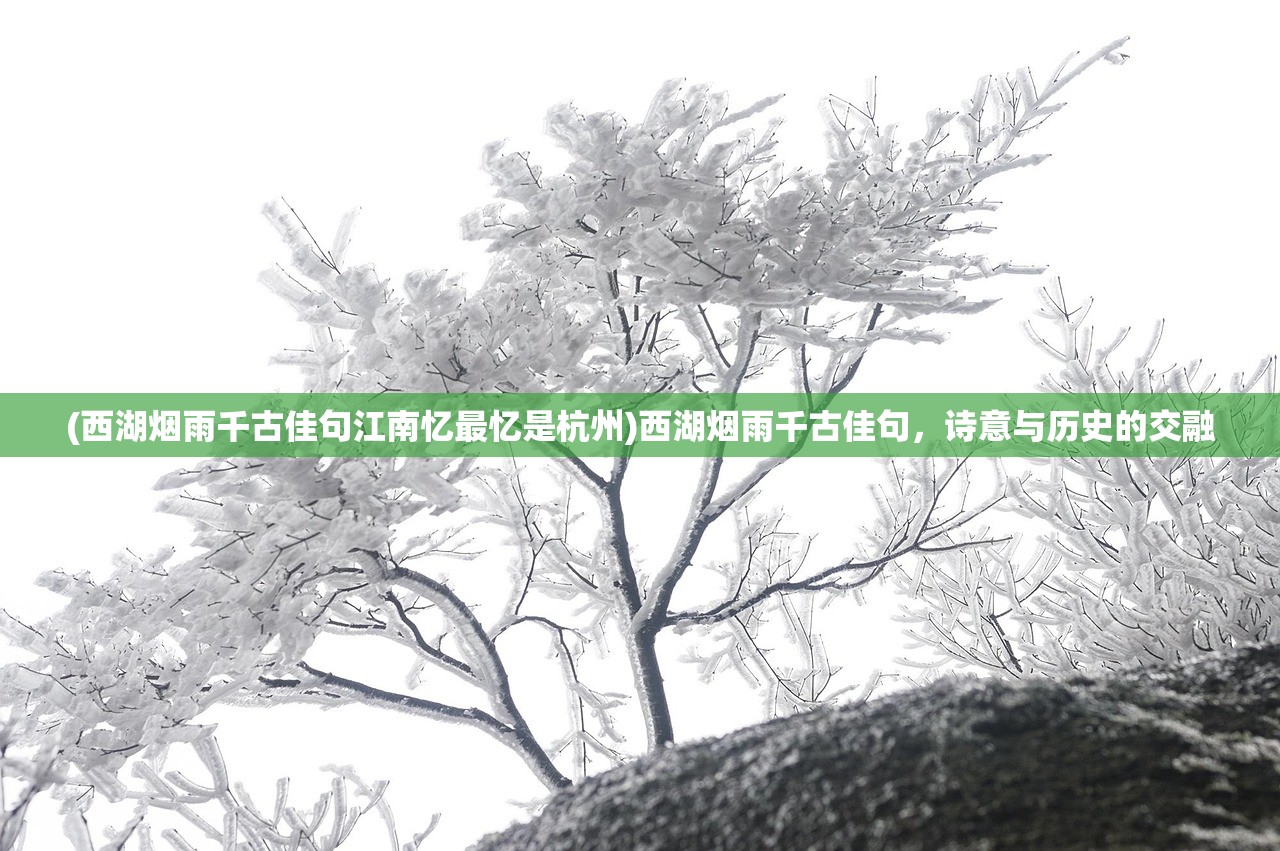 (西湖烟雨千古佳句江南忆最忆是杭州)西湖烟雨千古佳句，诗意与历史的交融