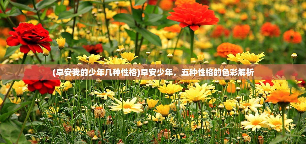 (早安我的少年几种性格)早安少年，五种性格的色彩解析