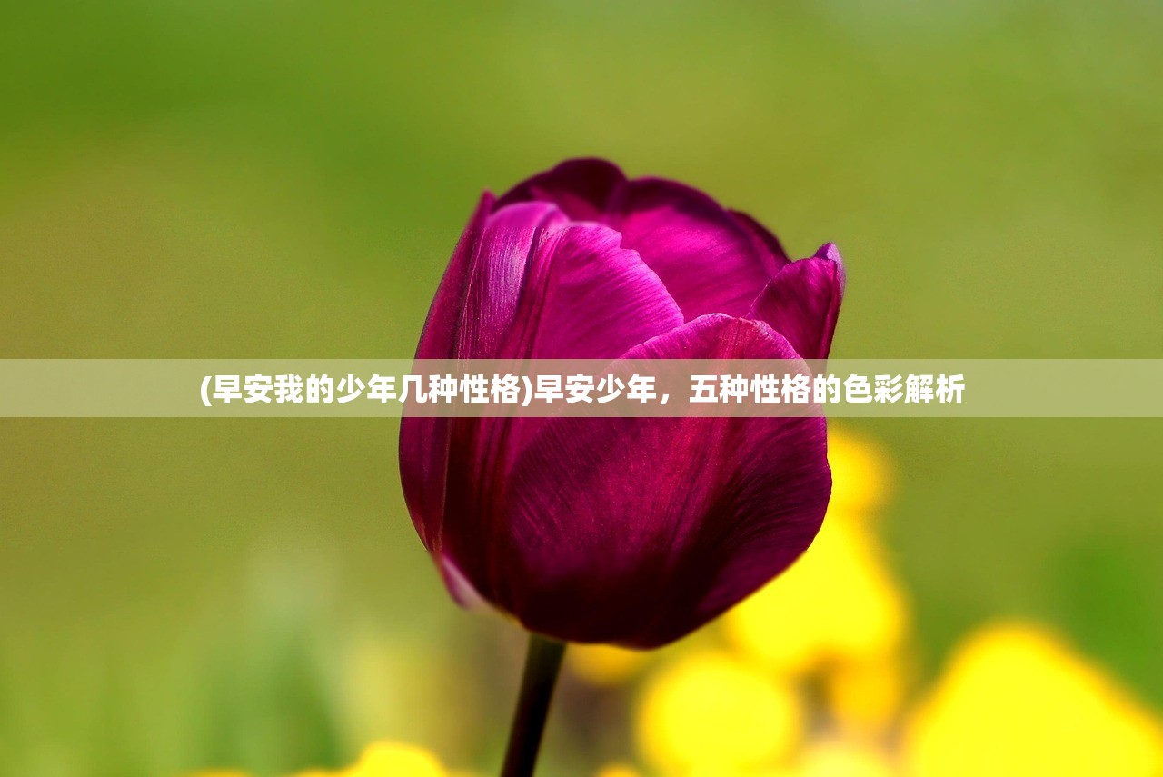 (早安我的少年几种性格)早安少年，五种性格的色彩解析