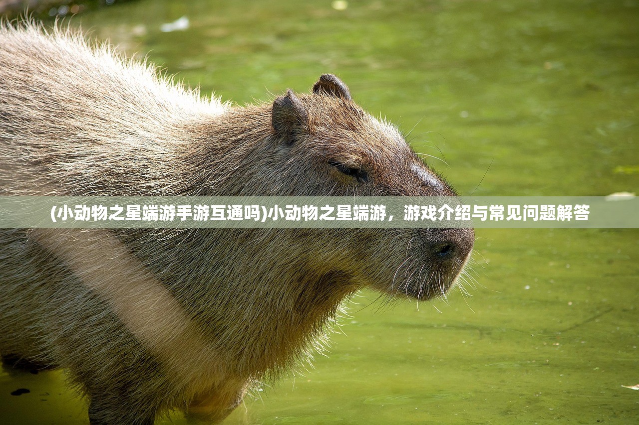 (小动物之星端游手游互通吗)小动物之星端游，游戏介绍与常见问题解答