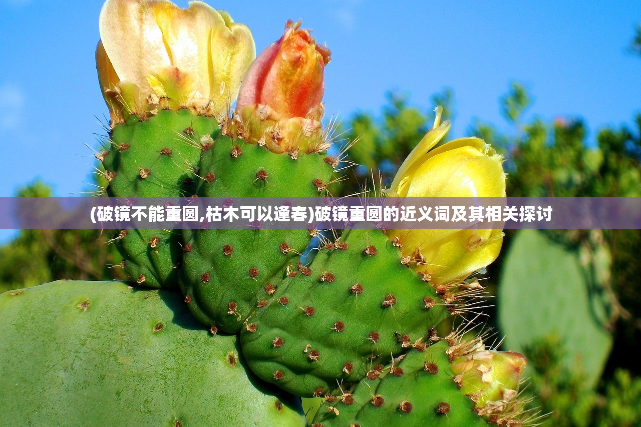 (破镜不能重圆,枯木可以逢春)破镜重圆的近义词及其相关探讨