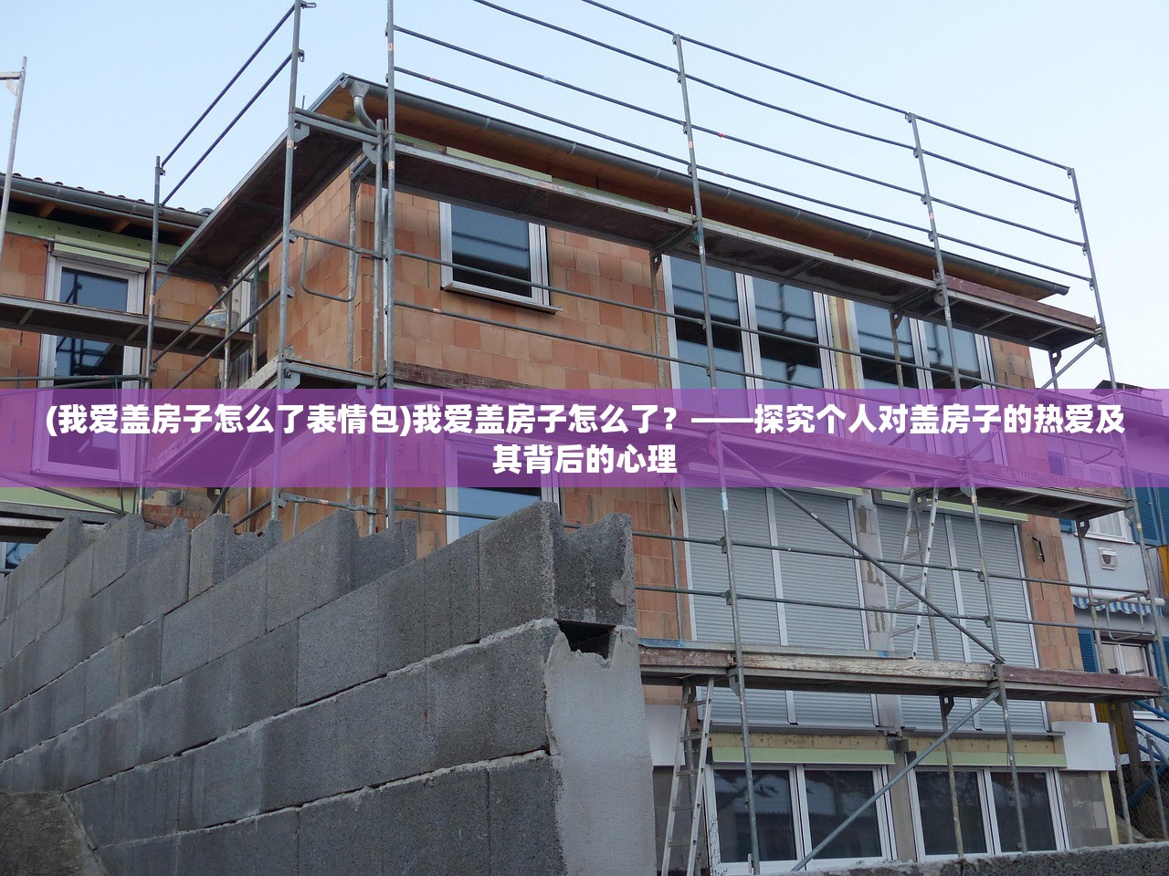 (我爱盖房子怎么了表情包)我爱盖房子怎么了？——探究个人对盖房子的热爱及其背后的心理