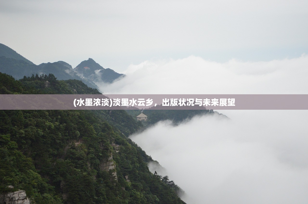 (水墨浓淡)淡墨水云乡，出版状况与未来展望
