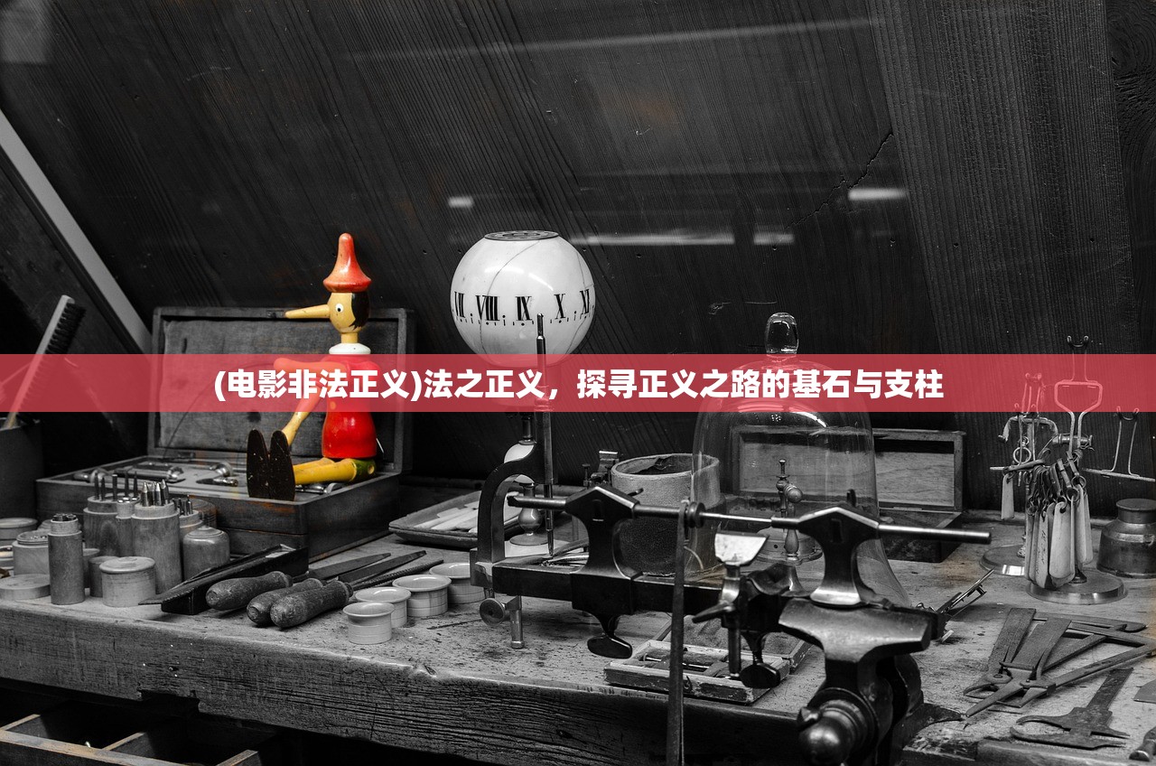 (电影非法正义)法之正义，探寻正义之路的基石与支柱